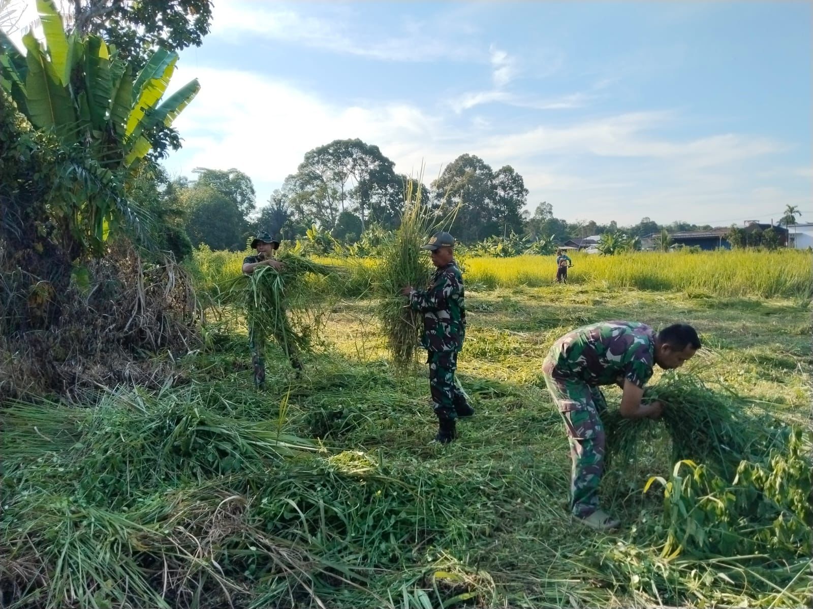 Koramil 1019-04/KTT Bersama Warga Bersihkan Lahan untuk Koperasi Merah Putih