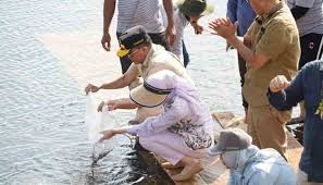 Gubernur Agustiar Tebar Ribuan Benih Ikan Nila di Sungai Kapitan