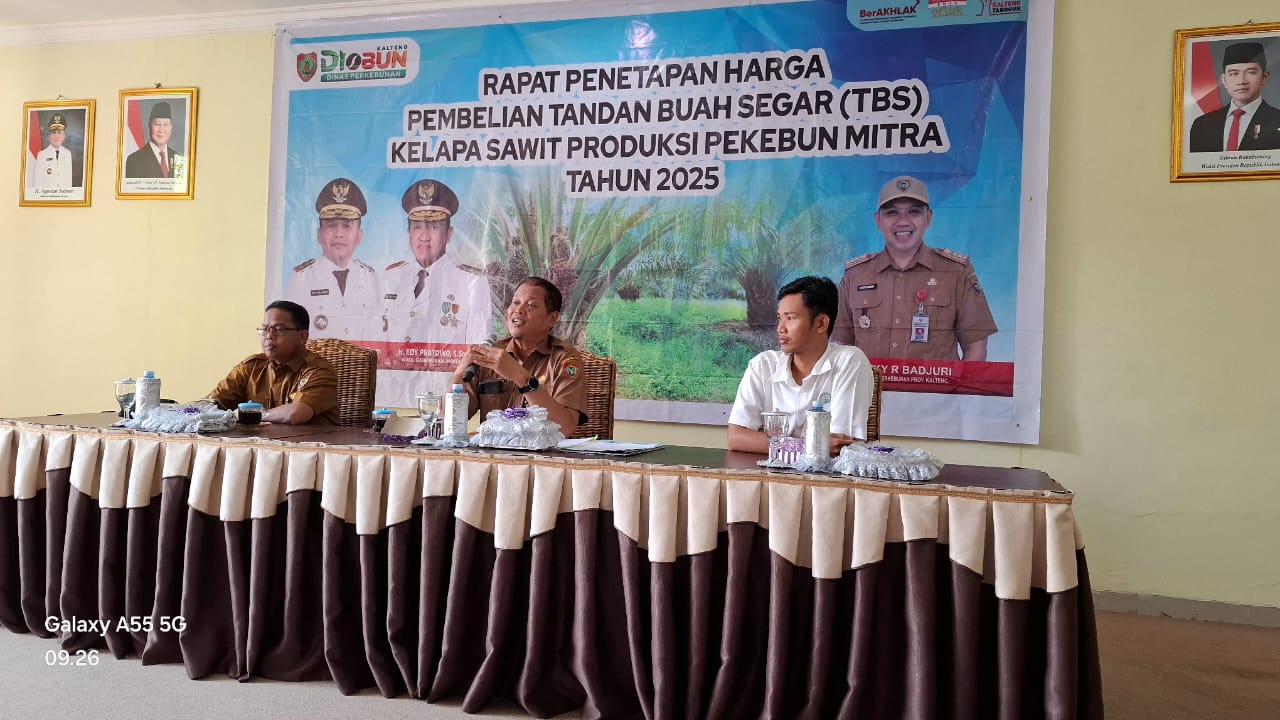 Pemprov Kalteng Tetapkan Harga Baru TBS Sawit, Seluruh Kelompok Umur Tanaman Mengalami Kenaikan
