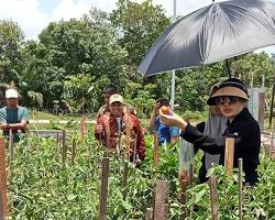 Aisyah Dorong Pemanfaatan Lahan Produktif Ramah