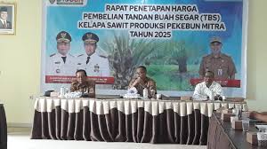 Disbun Kalteng Tegaskan Perusahaan Sawit Patuh Harga TBS Periode II Agustus 2025
