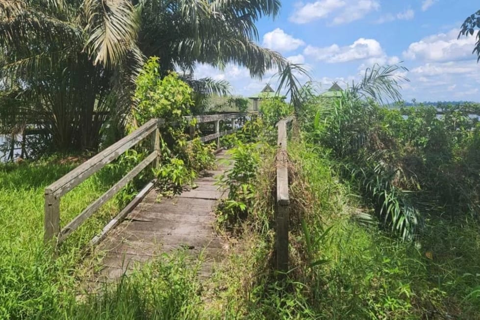 Danau Gatal Kian Sunyi: Janji Pembangunan dan Mimpi Wisata Kobar yang Terkubur Rumput Liar