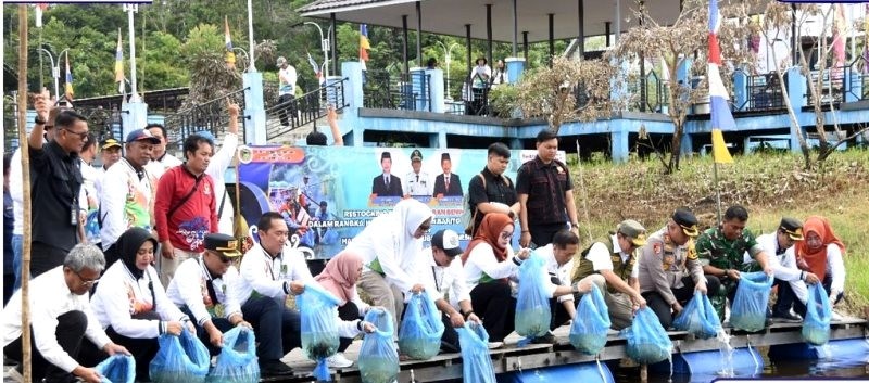 Barito Utara Genjot Ketahanan Pangan Lewat Restocking Ikan