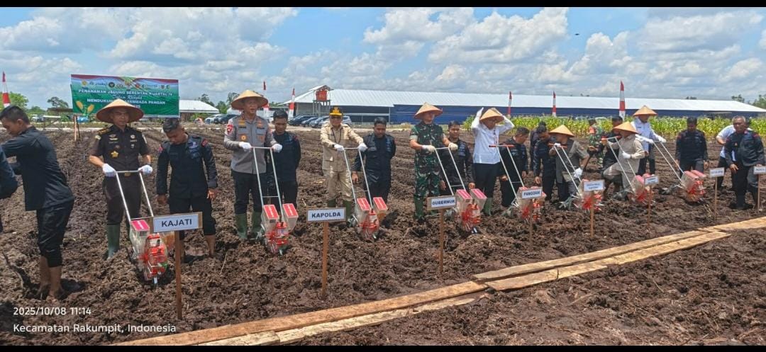 Produktivitas Jagung Naik Lewat Benih Unggul Hibrida di Kalteng