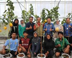 Kolaborasi Riset Membuka Peluang Pasar Petani