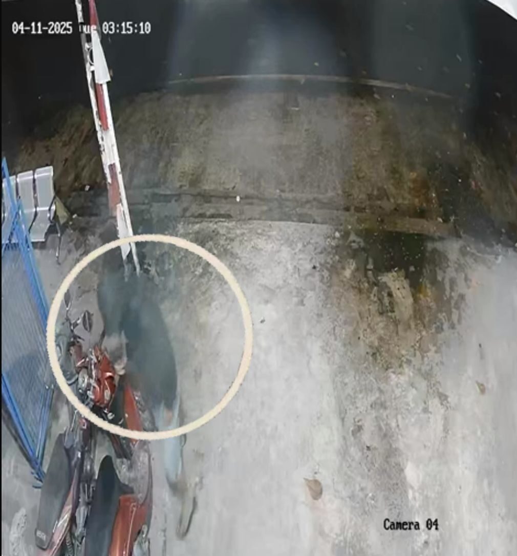 Motor Pemilik Salon di Sampit Raib Digondol Maling, Aksi Terekam CCTV