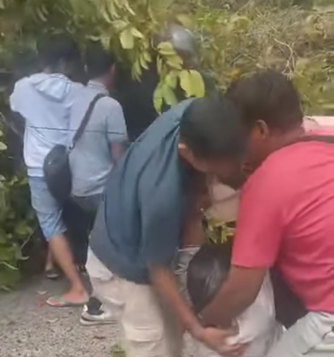 Pria di Palangka Raya Tertimpa Pohon Saat Tunggu Anak Pulang Sekolah