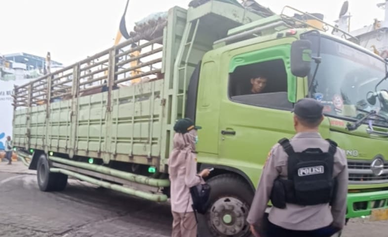 Tegaskan Keamanan Pangan, Distan Kobar Perketat Pengawasan Lalu Lintas Hewan