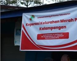 Sekitar 33% Koperasi Merah Putih Kalteng Mulai Jalankan Unit Usaha, Butuh Pendanaan Ekstra