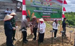 Staf Ahli Pj Bupati Dampingi Petani Jagung