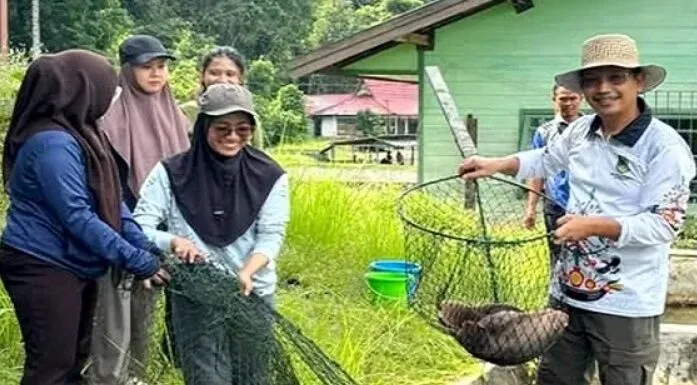 Barito Utara Panen Bibit Ikan, Dorong Ketahanan Pangan Berbasis Masyarakat