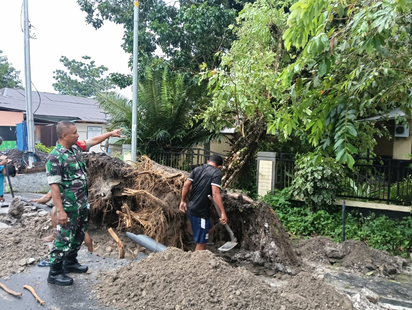 whatsapp image 2025 12 23 at 11.20.54 (1)