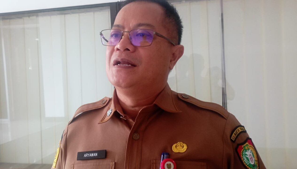 whatsapp image 2025 12 31 at 09.34.17