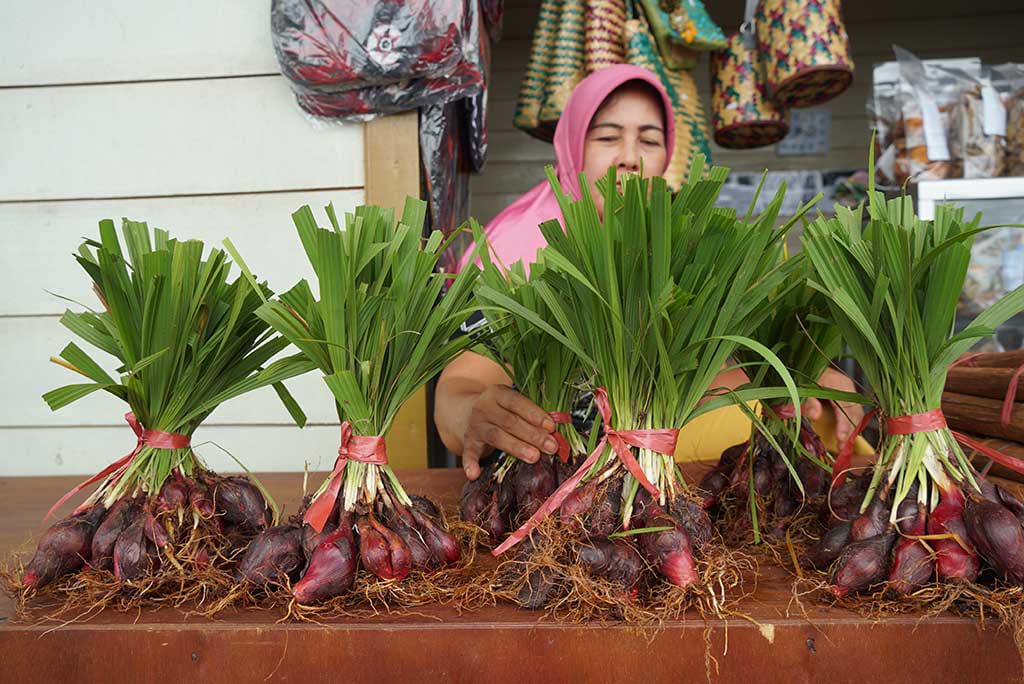Bawang Dayak Tembus ke 80 Negara, Jadi Andalan UMKM Kalteng di Pasar Global
