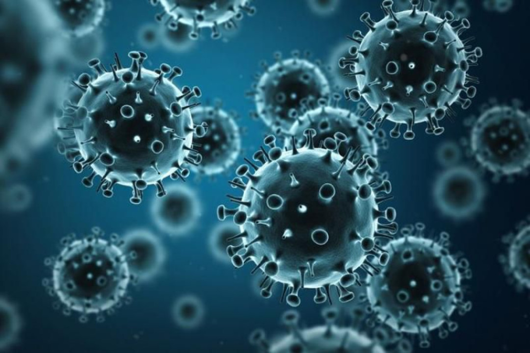 Super Flu Merebak di Daerah Lain, Dinkes Kalteng Minta Warga Tetap Waspada