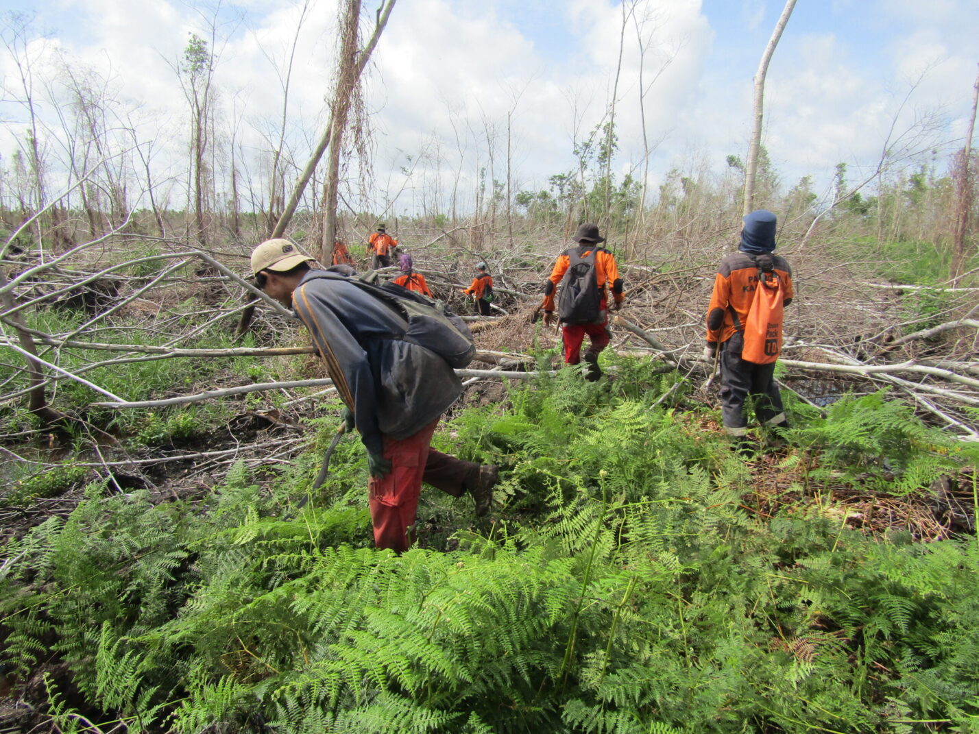 img 2301 scaled e1732245393688