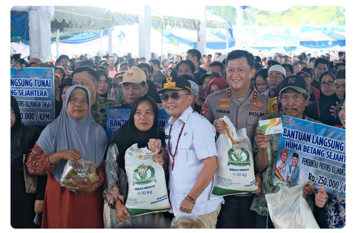 whatsapp image 2026 03 16 at 20.08.48