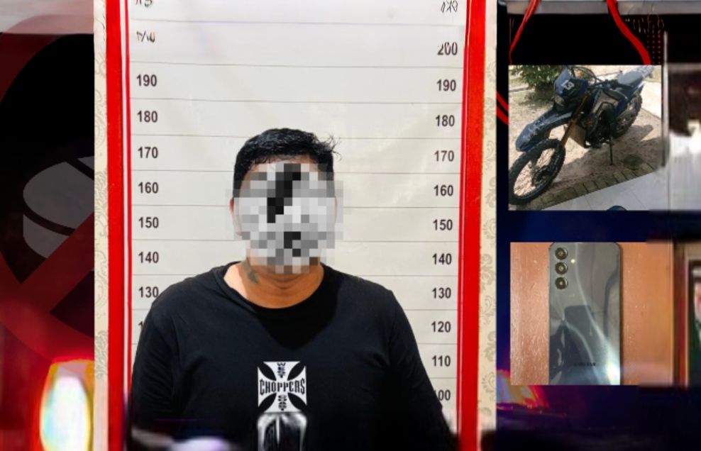 whatsapp image 2026 03 29 at 05.03.33