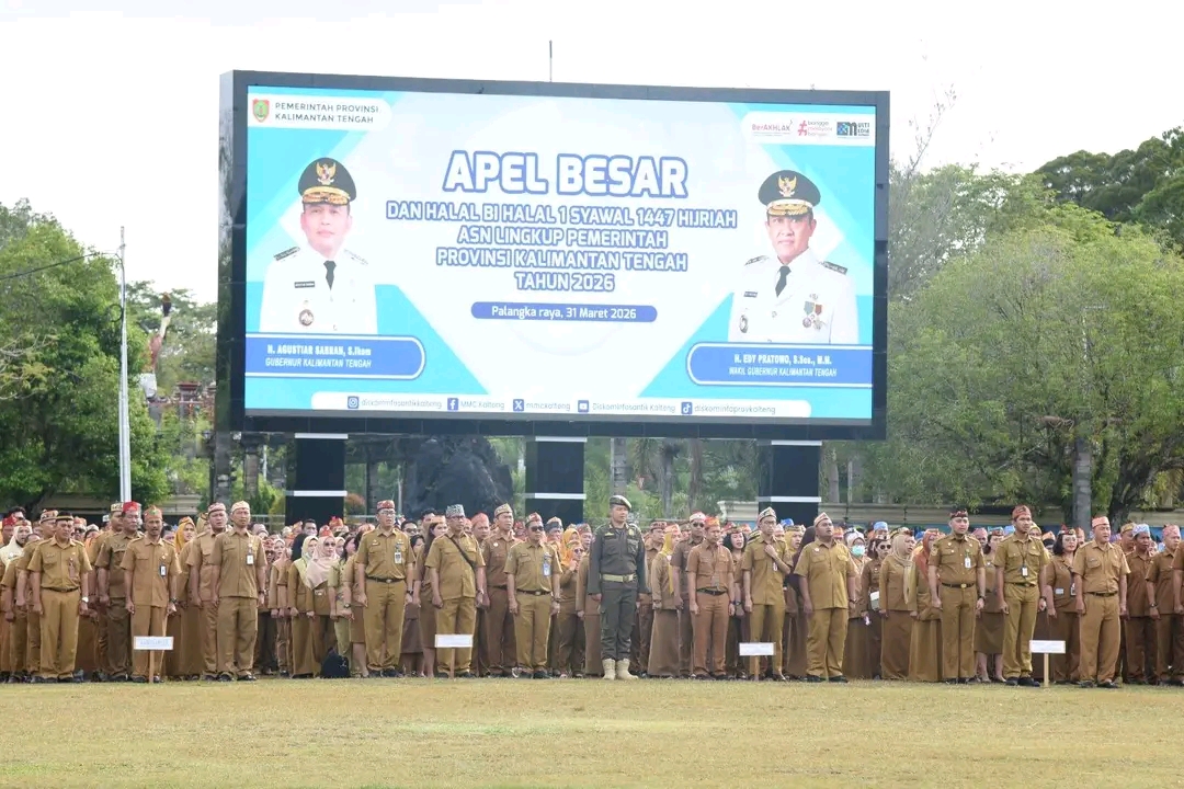 whatsapp image 2026 03 31 at 10.08.31