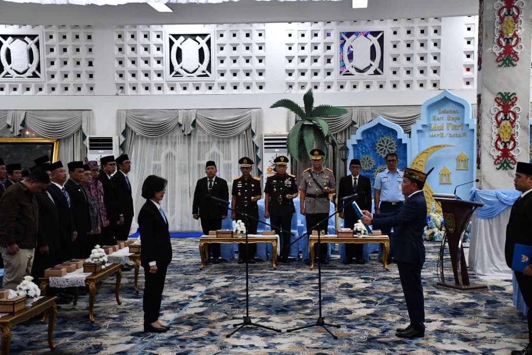 whatsapp image 2026 03 31 at 23.14.59