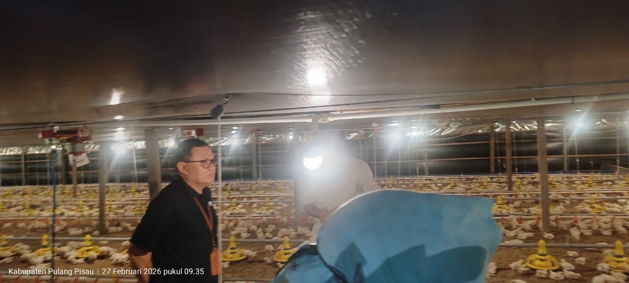 Pengawasan Intensif Pangan di Kalteng, Distribusi Diminta Tak Ganggu Pasokan