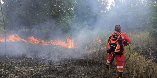 98 Titik Api Terdeteksi, Alarm Karhutla Palangka Raya Mulai Menyala