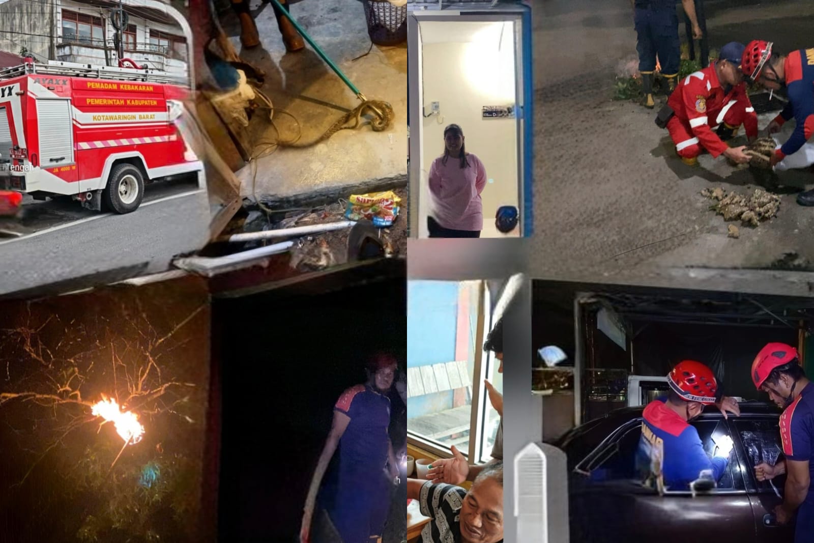 24 Jam Sibuk! Damkar Kobar Evakuasi Tawon Ndas hingga Jinakkan Kebakaran