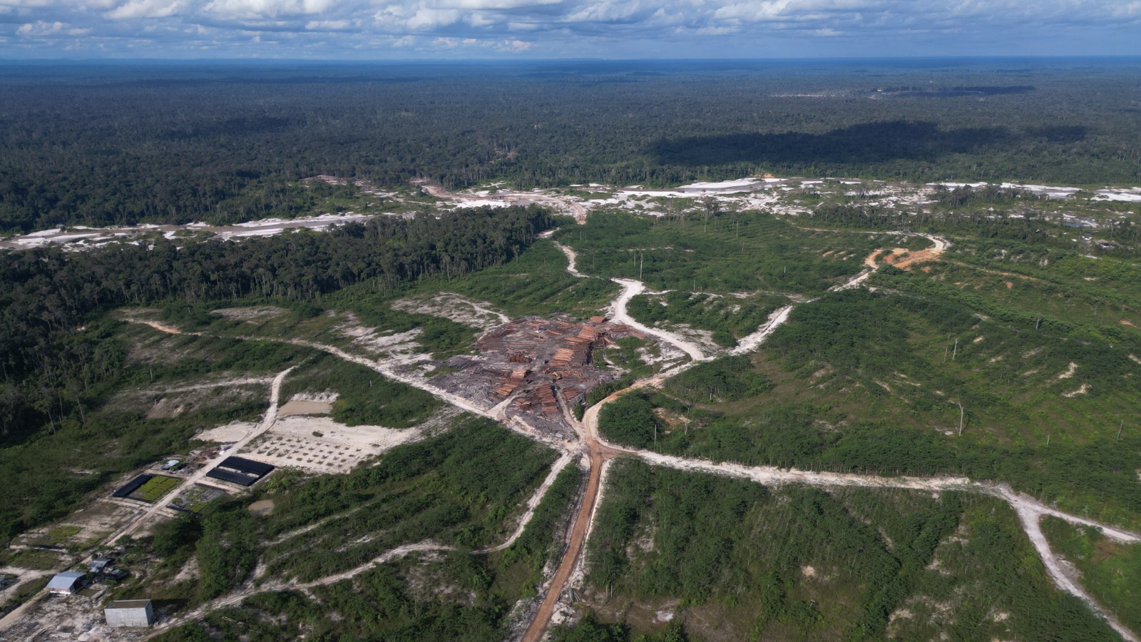 Deforestasi 26 Ribu Hektar, Save Our Borneo Bongkar Praktik HTI di DAS Kapuas