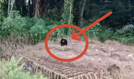 whatsapp image 2026 04 24 at 09.23.03