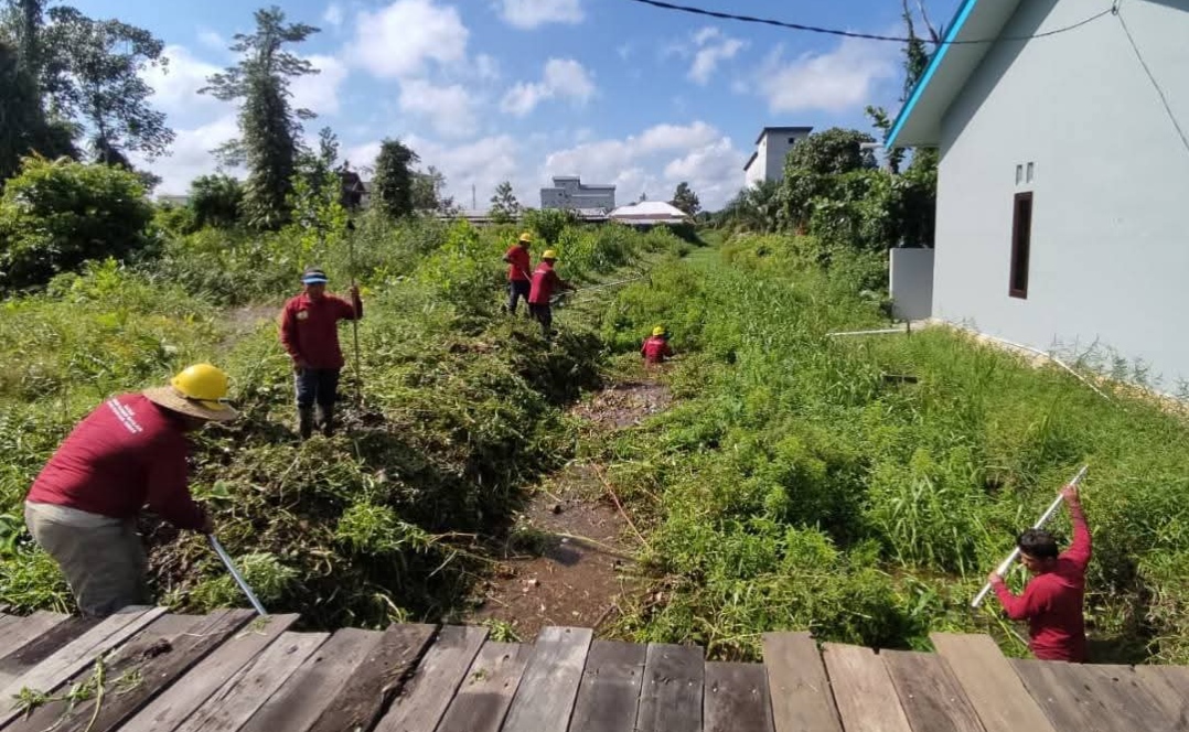 whatsapp image 2026 04 24 at 22.37.32