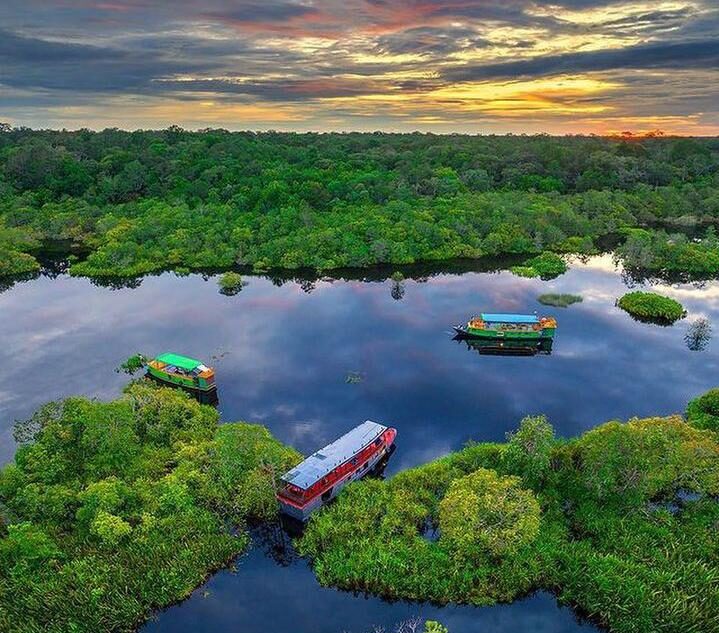 Mau ke Tanjung Puting? Jangan Berangkat Sebelum Baca Ini