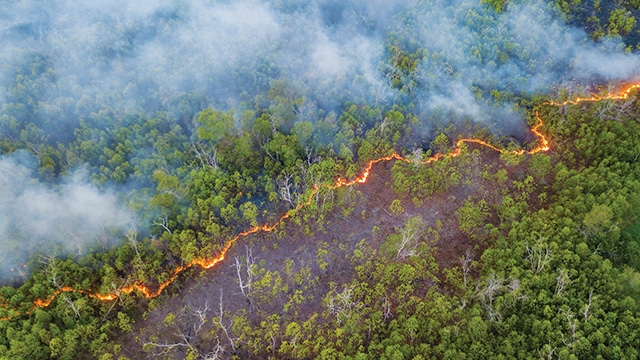 9.853 Titik Panas Kepung Kalimantan, WALHI Soroti Gambut Rusak akibat Food Estate