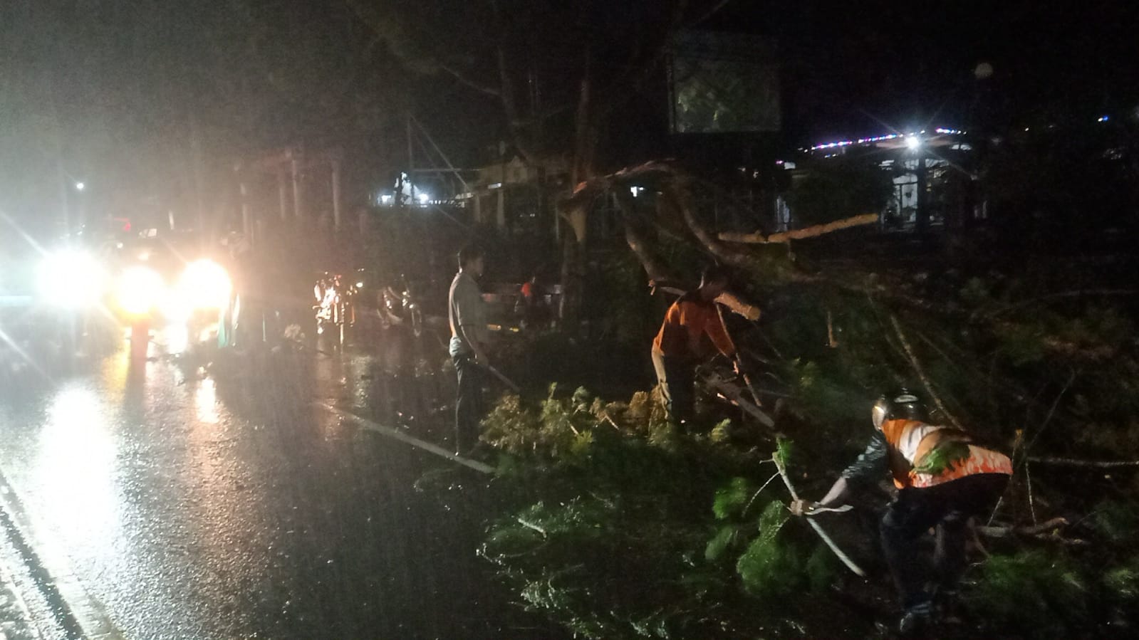 Diterpa Hujan dan Angin Kencang, Pohon Tumbang di Jalan Iskandar Nyaris Timpa Pemotor