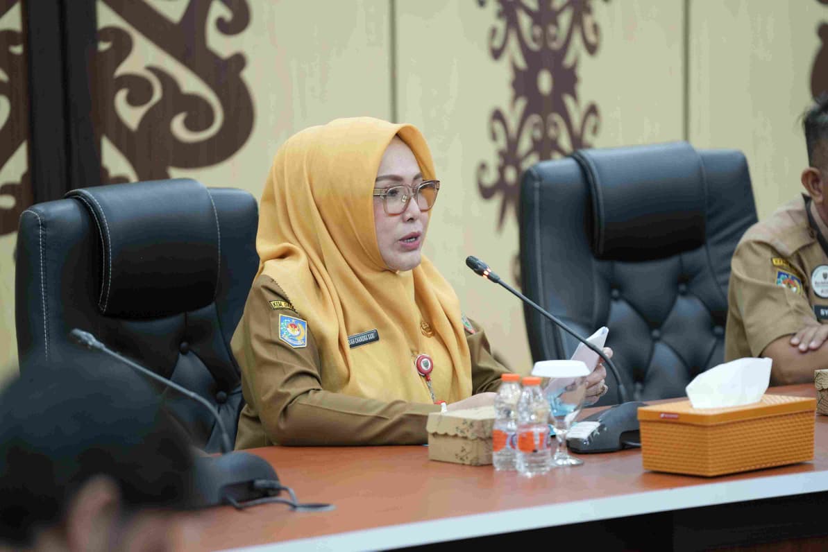 Nilai Transformasi Digital Kalteng Naik Jadi 3,41, Kini Gunakan Indeks PEMDI