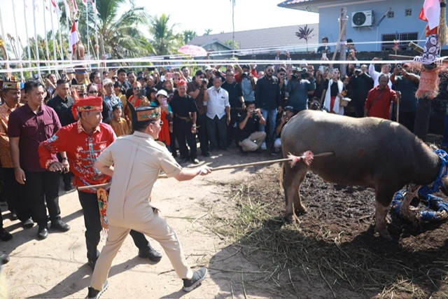 Hadiri Ritual Tiwah, Gubernur Kalteng Tegaskan Komitmen Lestarikan Budaya Dayak