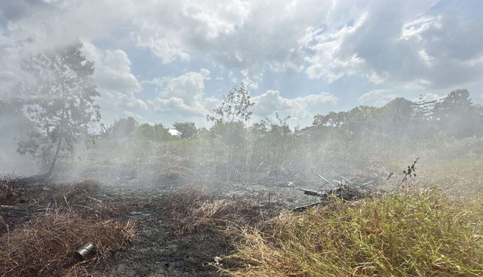 Bakar Sampah Diduga Picu Karhutla di Pangkalan Bun, BPBD Tangani Tiga Titik Api