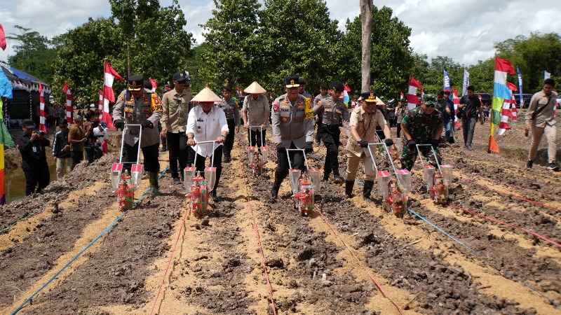 Agustiar Turun ke Kapuas, Lahan Tidur Disulap Jadi Kekuatan Pangan