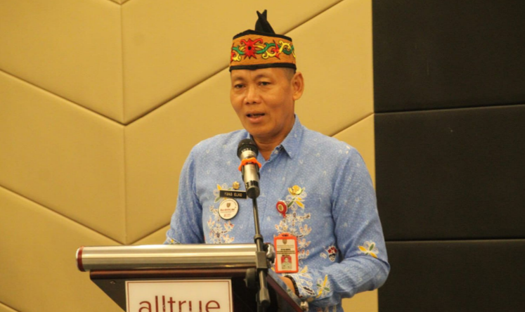 Kalteng Susun Strategi Jangka Panjang Hadapi Tantangan DAS Kumai