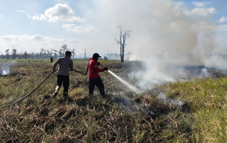 Cegah Karhutla Meluas, Pemkab Seruyan Perintahkan Camat hingga Kades Bergerak